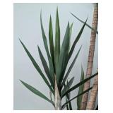 Faux Palm Plant 67 Inches Tall - 3 Stems in Black Pot