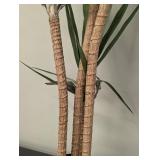 Faux Palm Plant 67 Inches Tall - 3 Stems in Black Pot