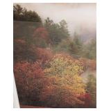 Autumn Mist - Framed Print by Lauren Galleries