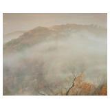 Autumn Mist - Framed Print by Lauren Galleries