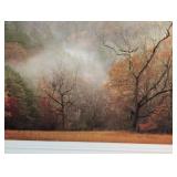 Autumn Mist - Framed Print by Lauren Galleries