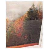 Autumn Mist - Framed Print by Lauren Galleries