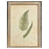 Framed Fern Print - 11 x 12 in - Botanical Wall Art