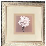 Framed Floral Wall Art - White Rose Print, 27 x 27 Inches