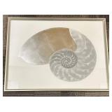 Nautilus Shell Framed Art Print - 30 x 40 in