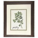 Parsley Framed Botanical Print - 19 x 23 in
