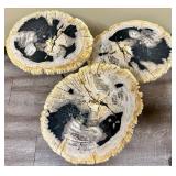 Petrified Wood Slices Coffee Table - 3-Tier, Top 32 x 20 in