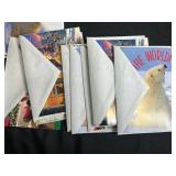 Assorted Blank Greeting Cards in Mall of America Gift Bag