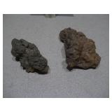 This item is a coprolite, which is fossilized animal dung, often from ancient turtles or crocodiles.