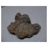 This item is a coprolite, which is fossilized animal dung, often from ancient turtles or crocodiles.