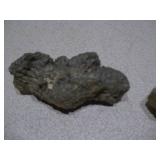 This item is a coprolite, which is fossilized animal dung, often from ancient turtles or crocodiles.