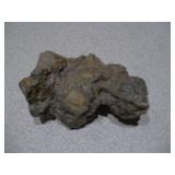 This item is a coprolite, which is fossilized animal dung, often from ancient turtles or crocodiles.