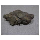 This item is a coprolite, which is fossilized animal dung, often from ancient turtles or crocodiles.