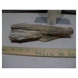 a piece of petrified wood,