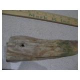 a piece of petrified wood,
