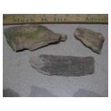 The image displays several pieces of fossilized wood or geological specimens