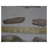 The image displays several pieces of fossilized wood or geological specimens