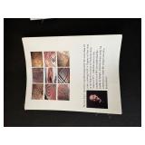 Steven Kaye Ceramic Vase - Handcrafted Pink Crackle Glaze with Leaf Motif