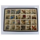 Better Costumer Jewelry - Earrings 40+ Pairs