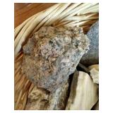 Basket of Cool Rocks, Fossils, and Unknown Specials