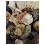 Basket of Cool Rocks, Fossils, and Unknown Specials