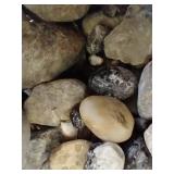 Basket of Cool Rocks, Fossils, and Unknown Specials