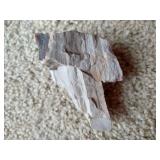 (2) Pieces of Petrified Wood