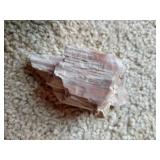 (2) Pieces of Petrified Wood