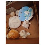 Lot of Seashells and Driftwood