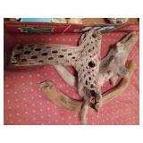 Lot of Seashells and Driftwood