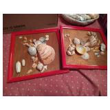 Lot of Seashells and Driftwood