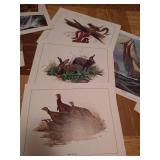 Ship Decor, Ice Bucket, & Prints