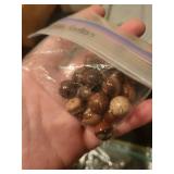 Collection of Semi-Precious Stone Bead Necklaces, Bracelets, and Loose Beads