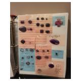 Binder Collection of Assorted Loose Gemstone Cabochons and Cut Stones