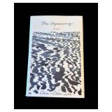 Book Lot Mixed Novel Collection