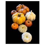 Pumpkins - Assorted Orange, White & Gray Decorative Gourds for Halloween Display