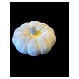 Pumpkins - Assorted Orange, White & Gray Decorative Gourds for Halloween Display