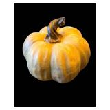 Pumpkins - Assorted Orange, White & Gray Decorative Gourds for Halloween Display
