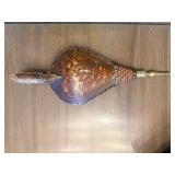 Leaf-Shaped Bellow with Brass Handle and Sunburst Back Bellow