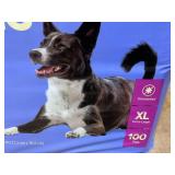 LOT OF 4 up&up Dog Training Pads Size XL