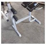 CAP Strength Roman Chair