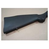 Marlin Model 795 .22 LR Semi-Auto Rifle