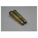 22 .30-30 Win SP RN Ammo