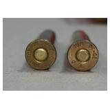 22 .30-30 Win SP RN Ammo