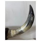 Large Western Cattle Horn Wall Display Rack