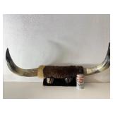 Large Western Cattle Horn Wall Display Rack