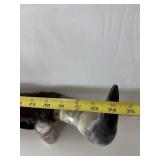 Large Western Cattle Horn Wall Display Rack