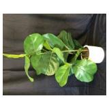Artificial Fig Tree