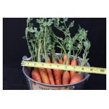 Galvanized Garden Tools Box - Seed Packet Bucket, Carrot Decor & Tiny Birdhouse