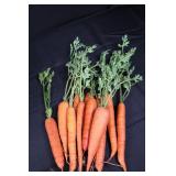 Galvanized Garden Tools Box - Seed Packet Bucket, Carrot Decor & Tiny Birdhouse
